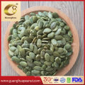 Wholesale Shine Skin Pumpkin Seed Kernels AAA